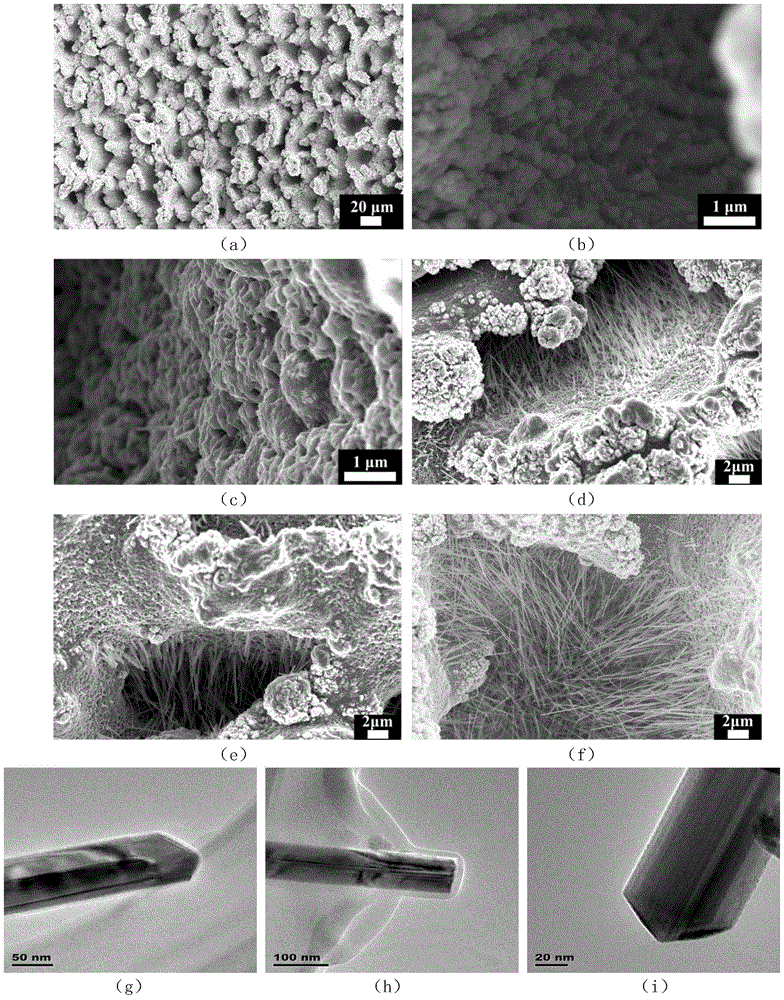 A Controllable Patterned Ultrafast Laser Composite Fabrication Method of Metal Oxide Nanowires