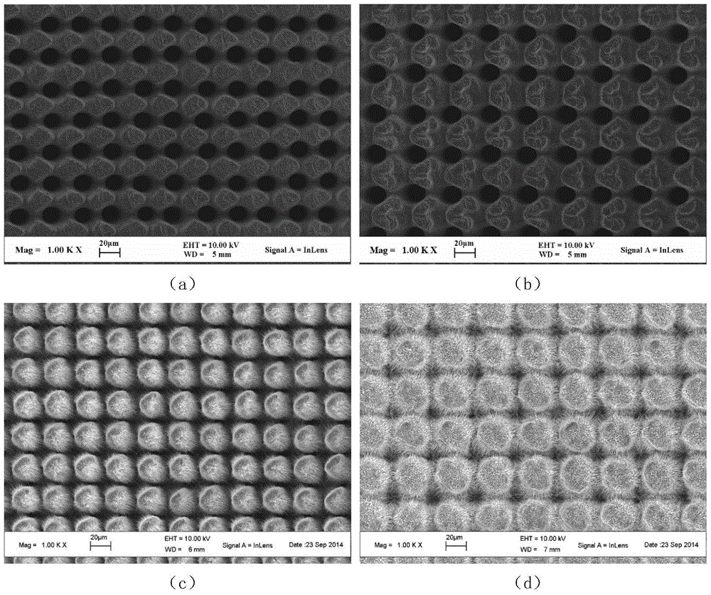 A Controllable Patterned Ultrafast Laser Composite Fabrication Method of Metal Oxide Nanowires
