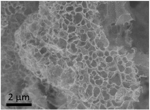 Preparation method of three-dimensional carbon network loaded cobalt ferrite nanoparticle composite wave absorber