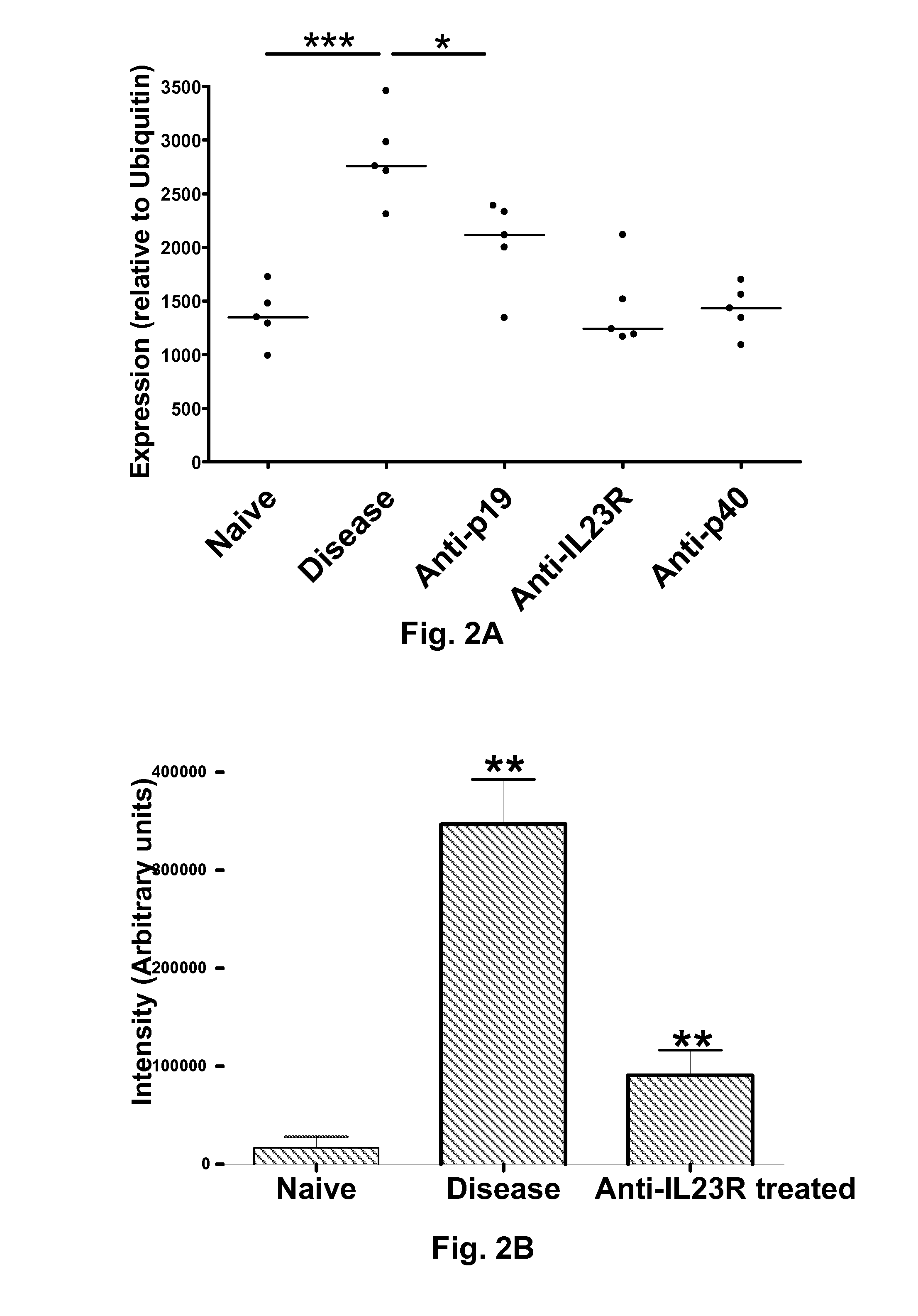 Inflammatory bowel disease biomarkers and related methods of treatment