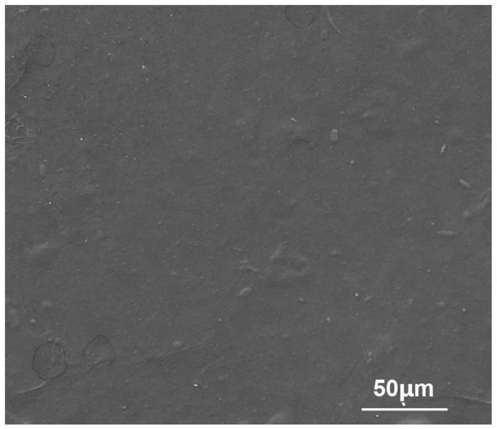 Medical material surface chitosan/graphene oxide coating and preparation method thereof