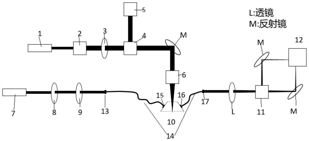 Photoacoustic microfluidic detection system and detection method