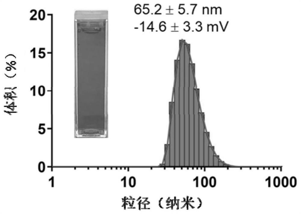 A kind of enzymatic cationic liposome and its application