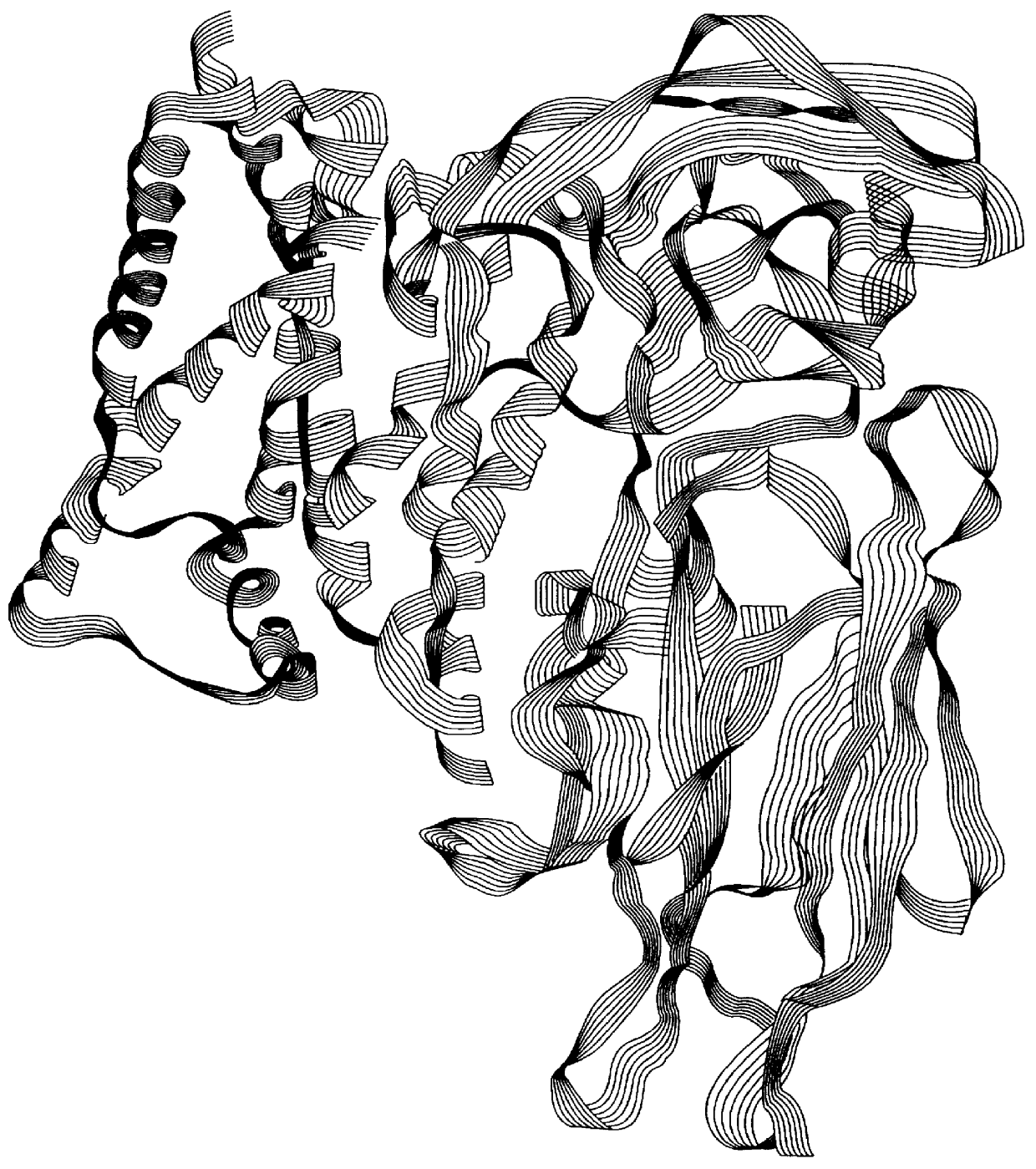 Nucleic acid segments encoding modified bacillus thuringiensis coleopteran-toxic crystal proteins