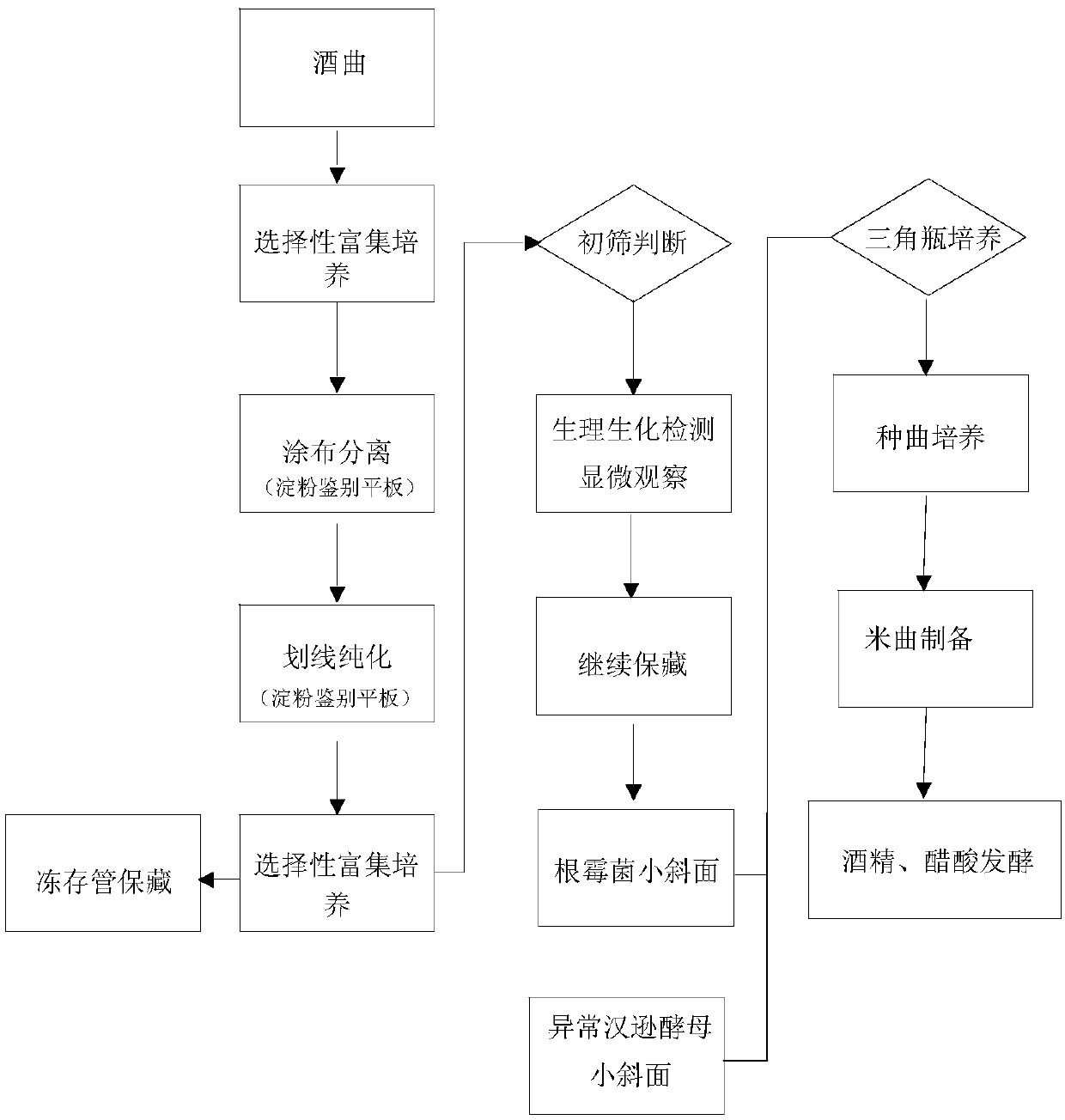 Rhizopus sp. ZH805 and application thereof