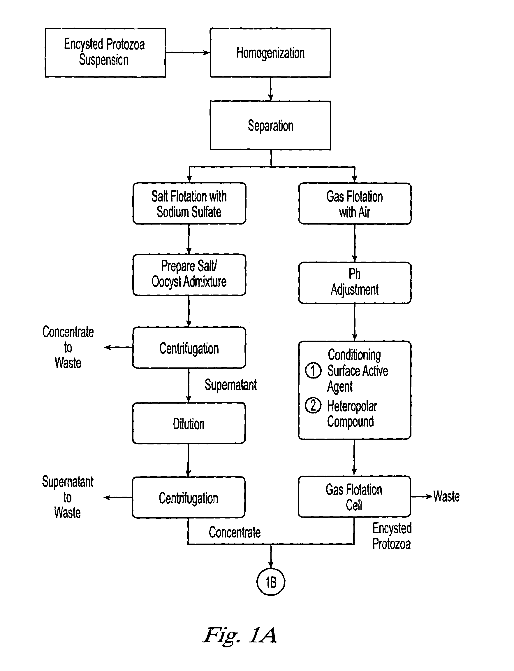 Method for the purification, recovery, and sporulation of cysts and oocysts