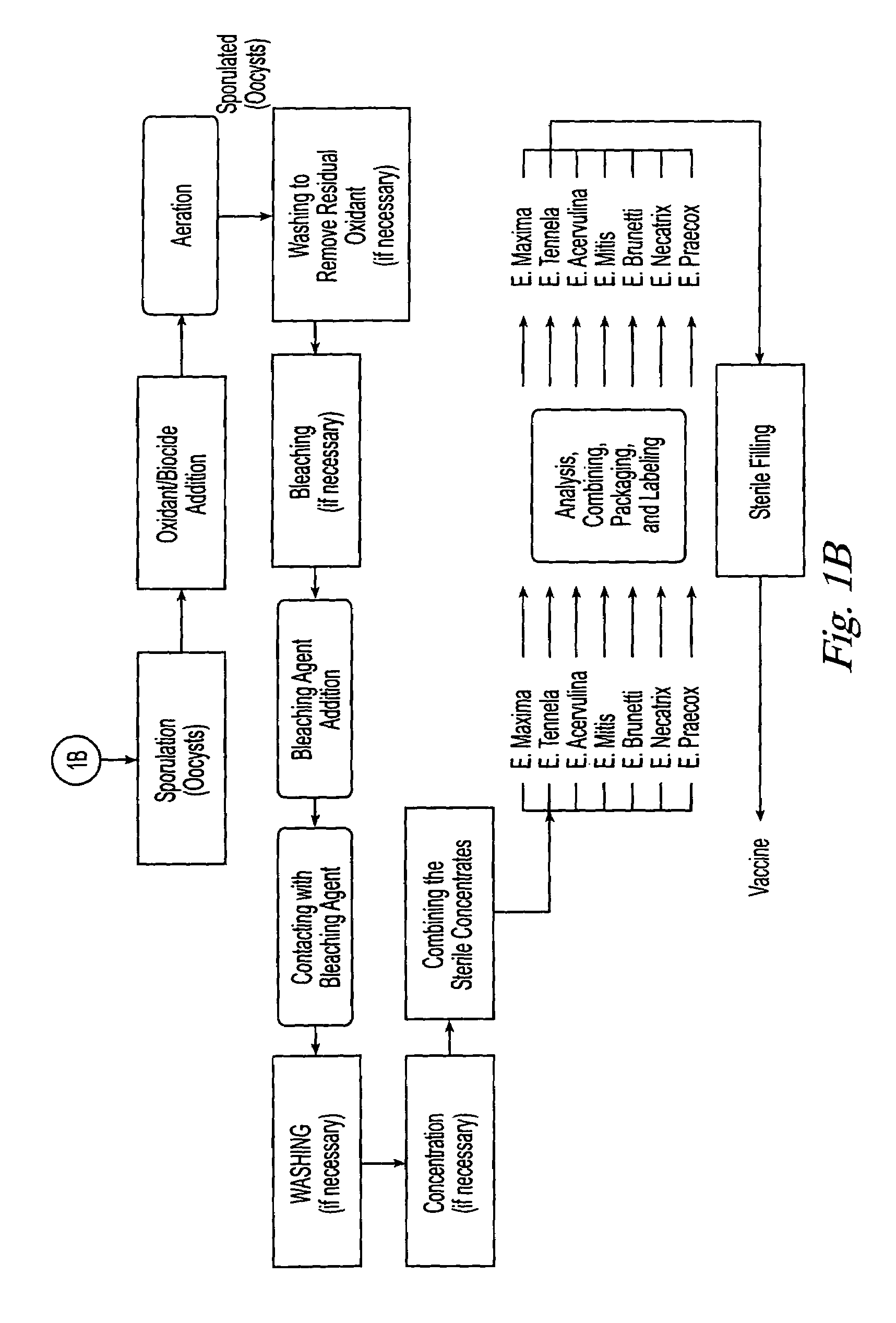 Method for the purification, recovery, and sporulation of cysts and oocysts