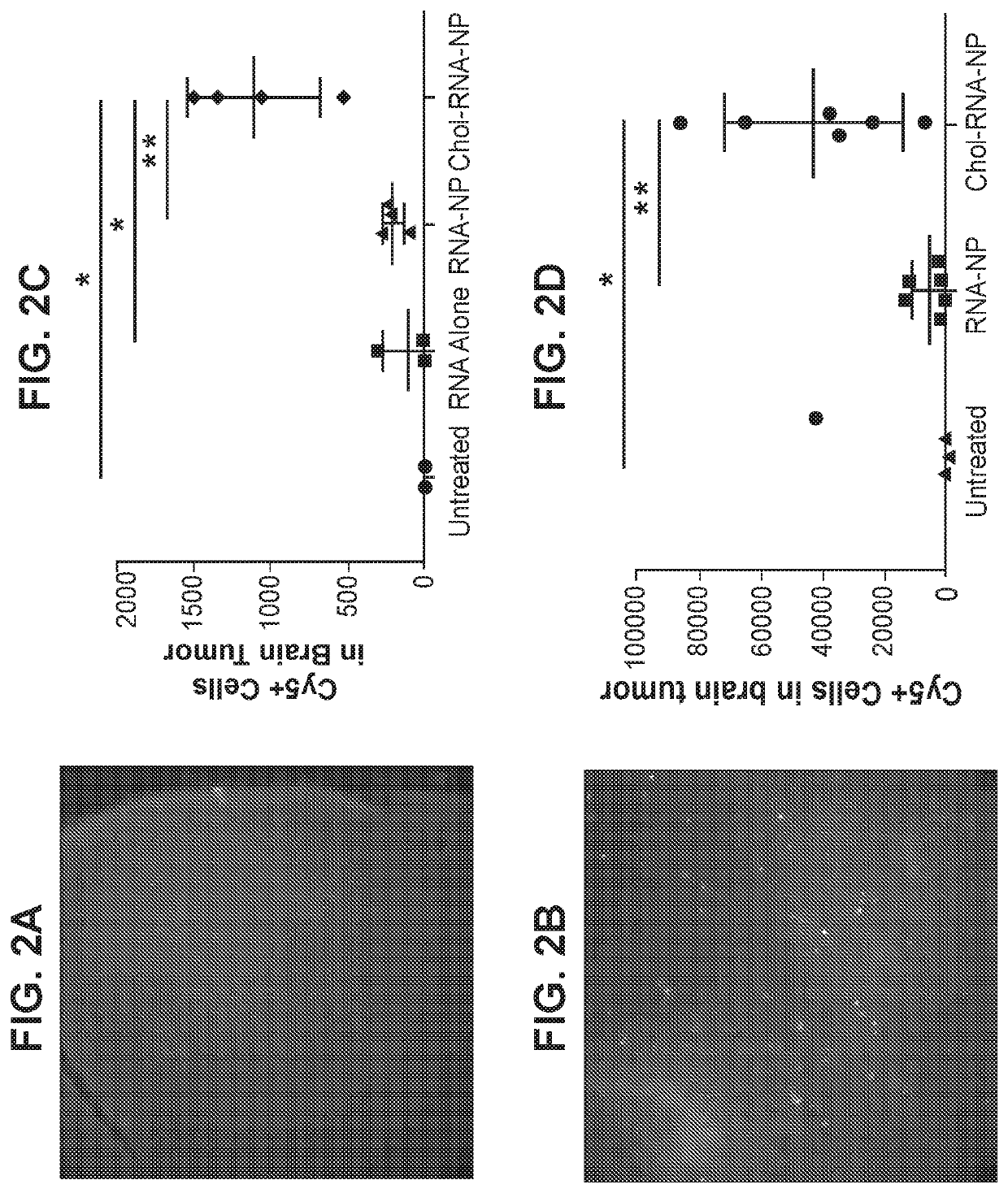 Magnetic liposomes and related treatment and imaging methods