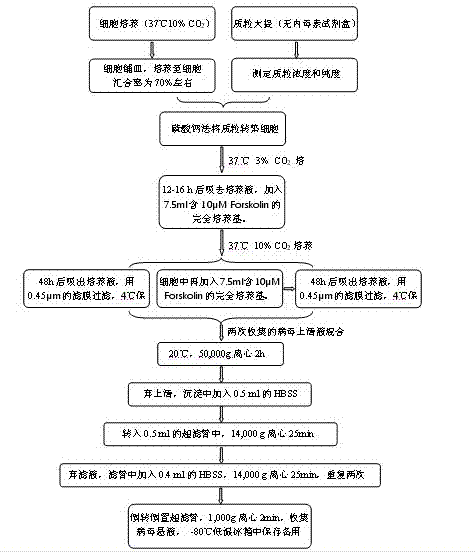 Slow-virus vector system and preparation method thereof