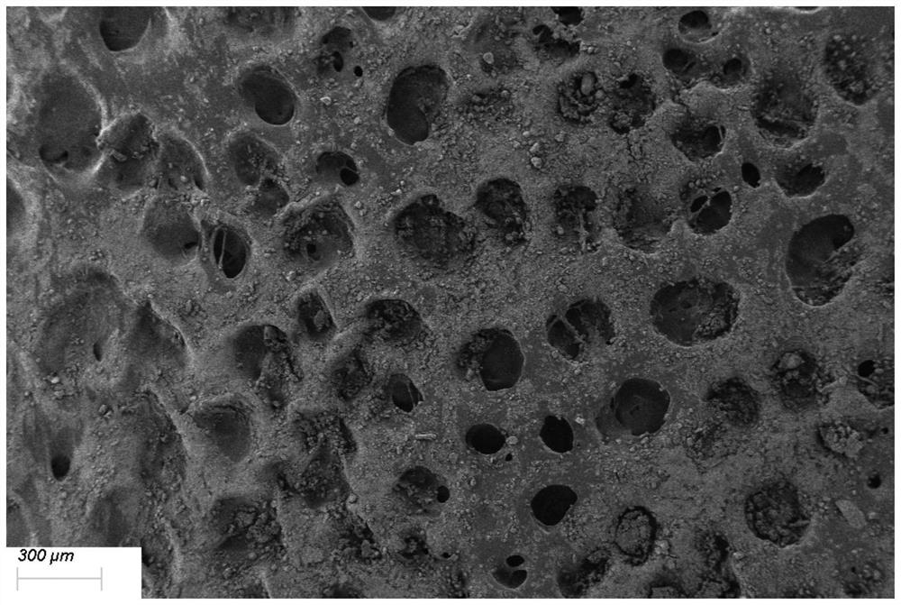 Detection method of macrolide antibiotics in organic fertilizer and sample treatment method of macrolide antibiotics in organic fertilizer