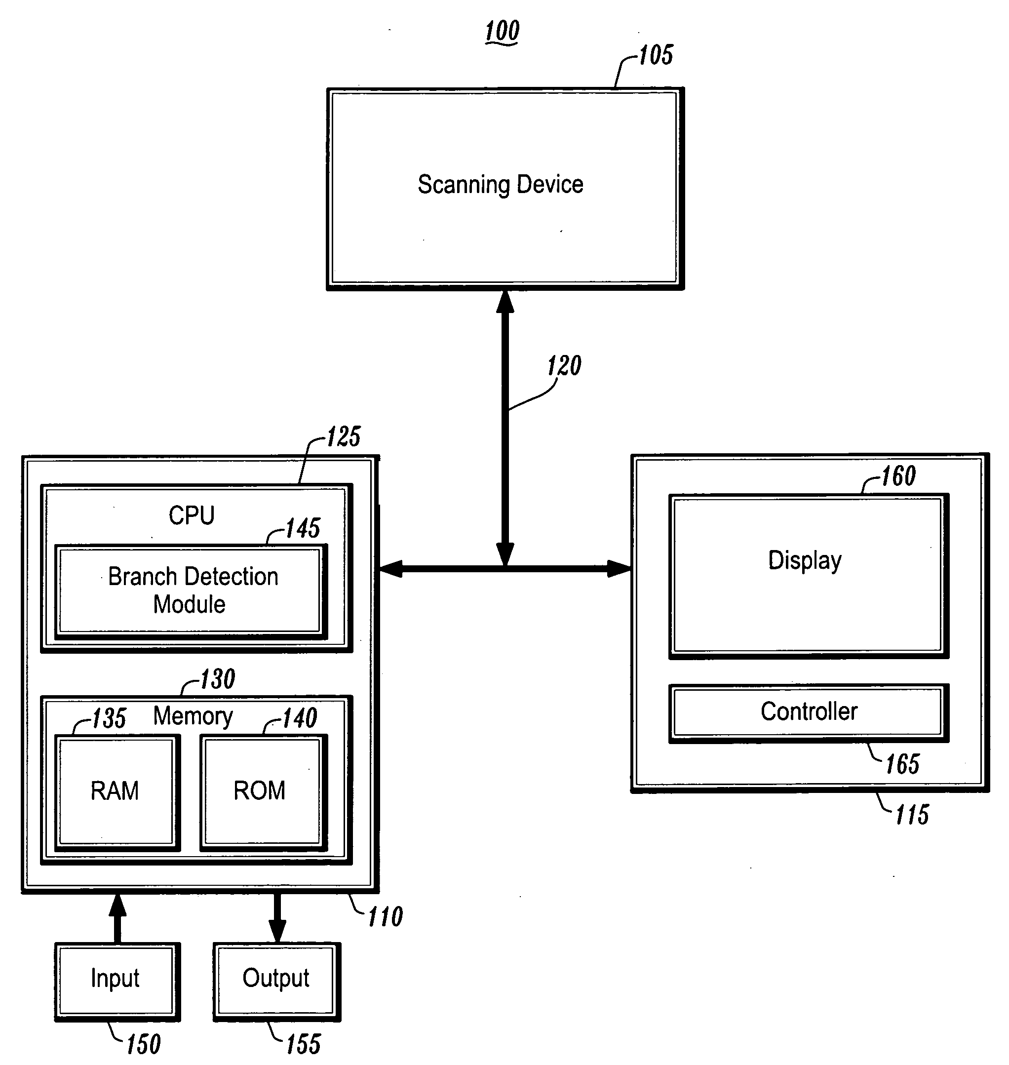 System and method for performing a virtual endoscopy in a branching structure