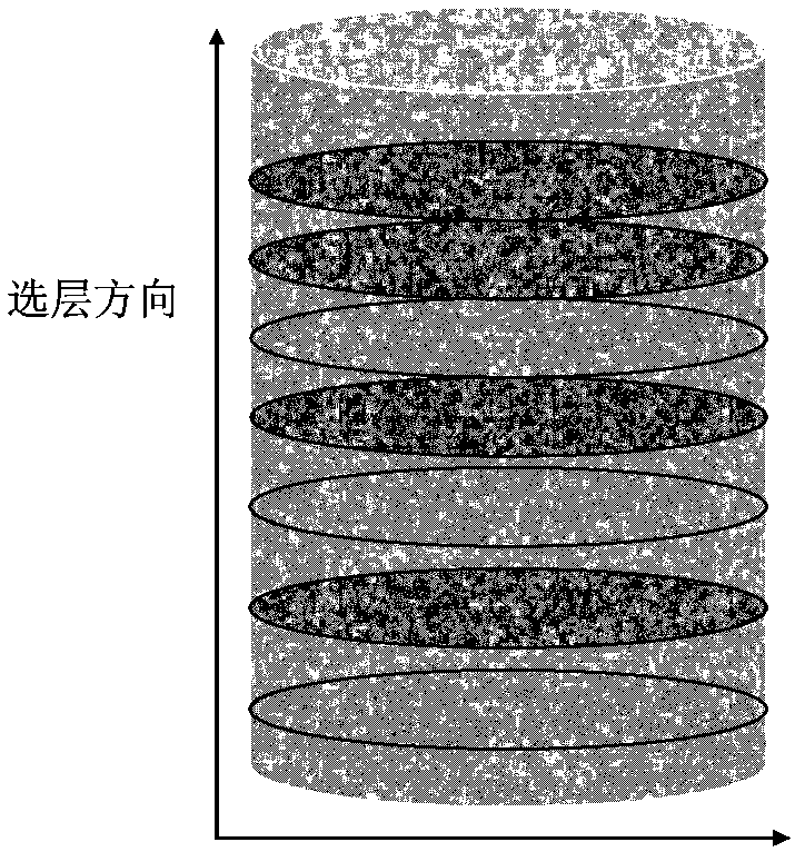 A Quantitative Evaluation Method of Rock Heterogeneity Based on Magnetic Resonance Imaging