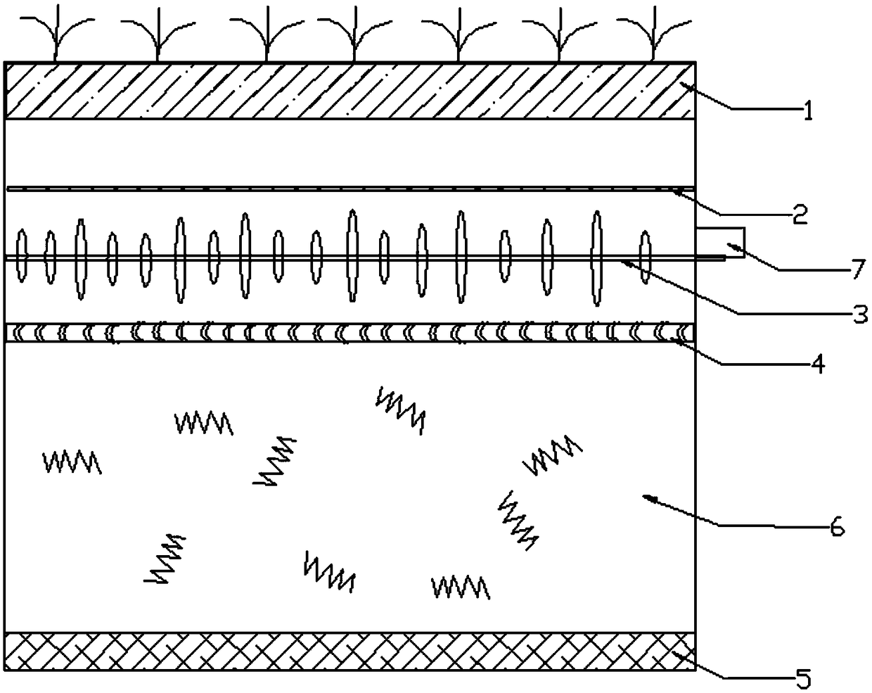 Method for shortening cultivation time of leaf lettuce