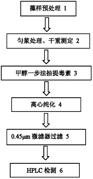 Rapid microcystin extracting and detecting method