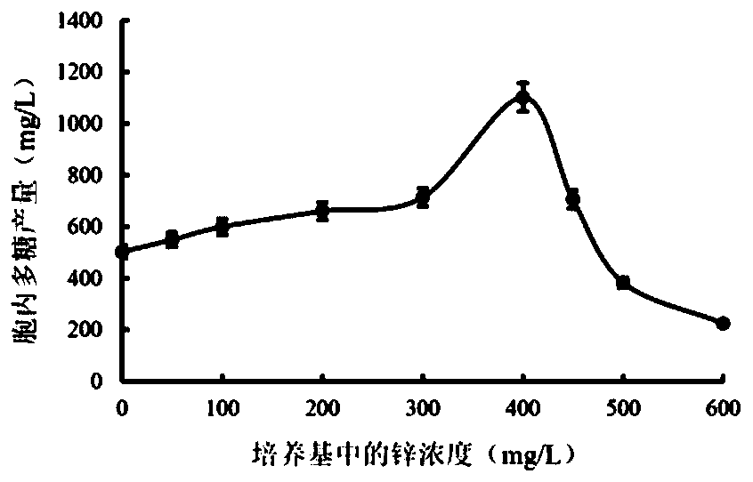 Method for improving yield of thelephora ganbajun mycelia and polysaccharides and application of thelephora ganbajun polysaccharides