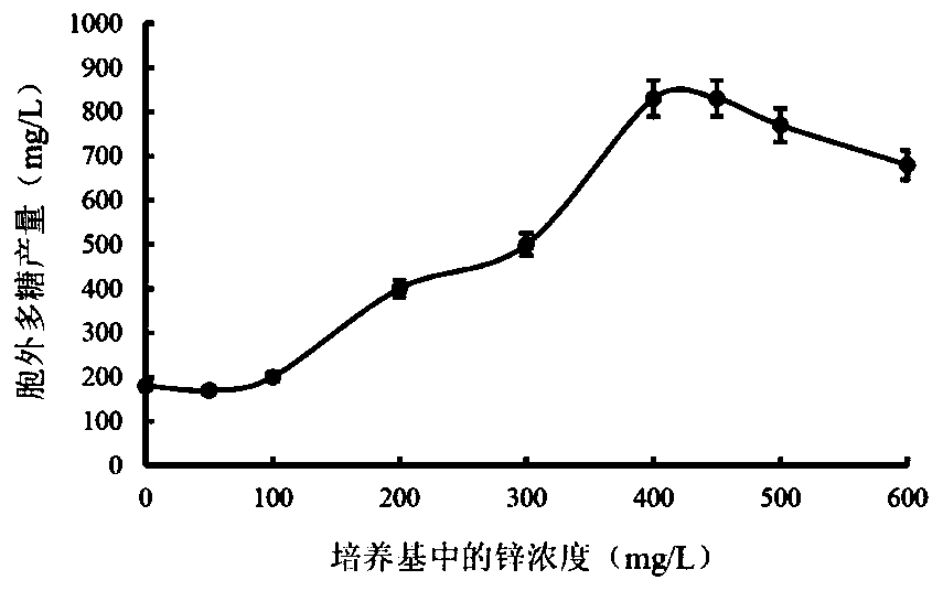 Method for improving yield of thelephora ganbajun mycelia and polysaccharides and application of thelephora ganbajun polysaccharides