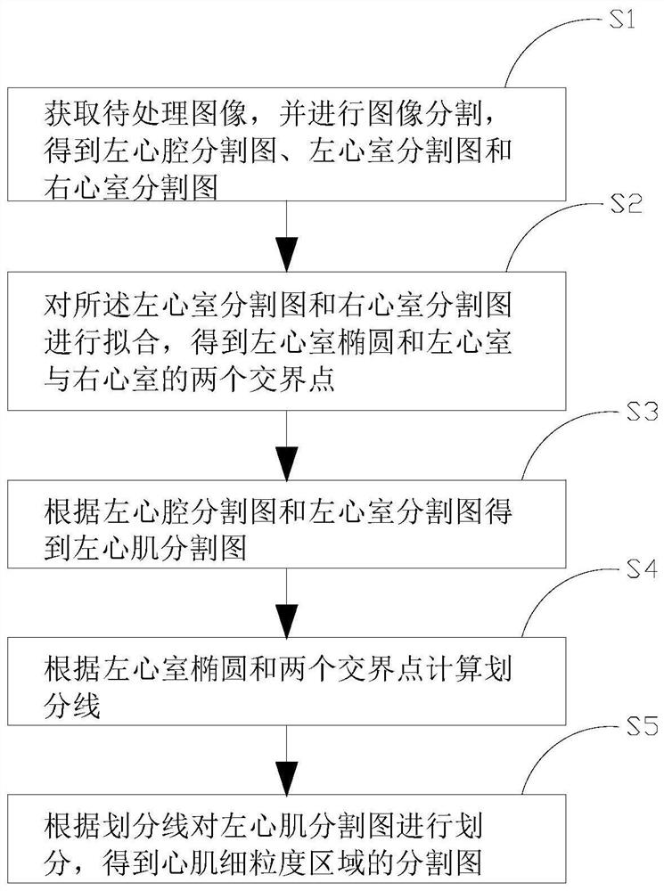 Myocardial fine-grained division method and system