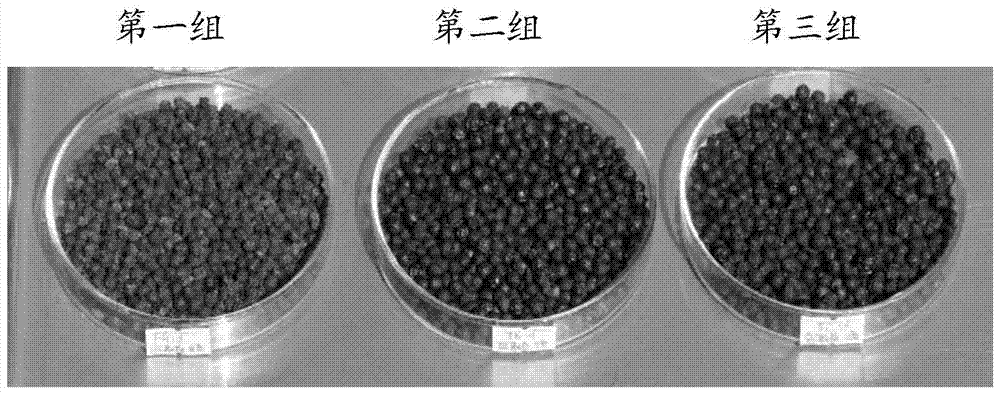 A kind of preparation method of black pepper