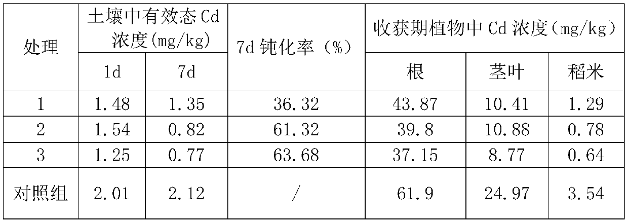 Composite passivator for cadmium contaminated soil and application of composite passivator