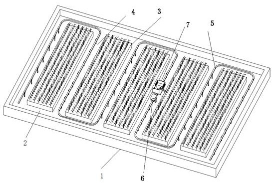 Ecological fish-rice symbiotic cultivation system and cultivation method thereof