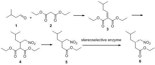 Preparation method for asymmetrical synthesis of pregabalin