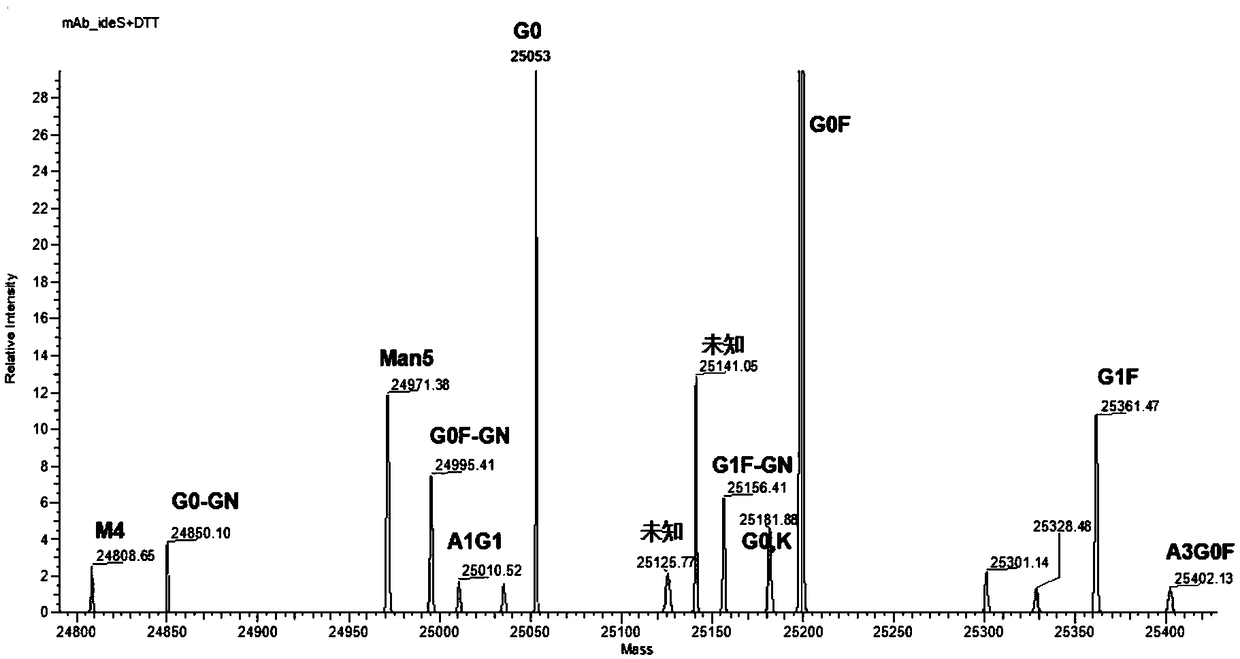 Rapid analysis method for monoclonal antibody N sugar glycoform