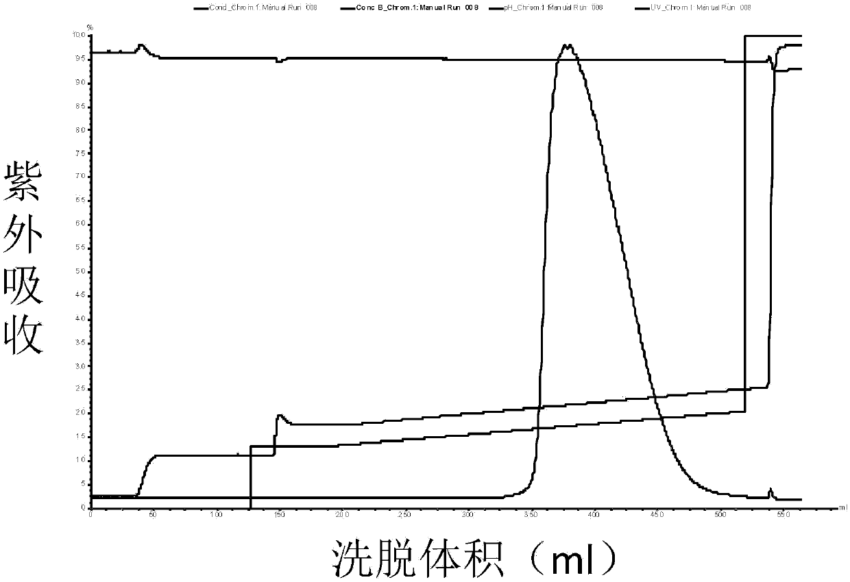 PEG (pegylation) kininogenase preparation and application thereof