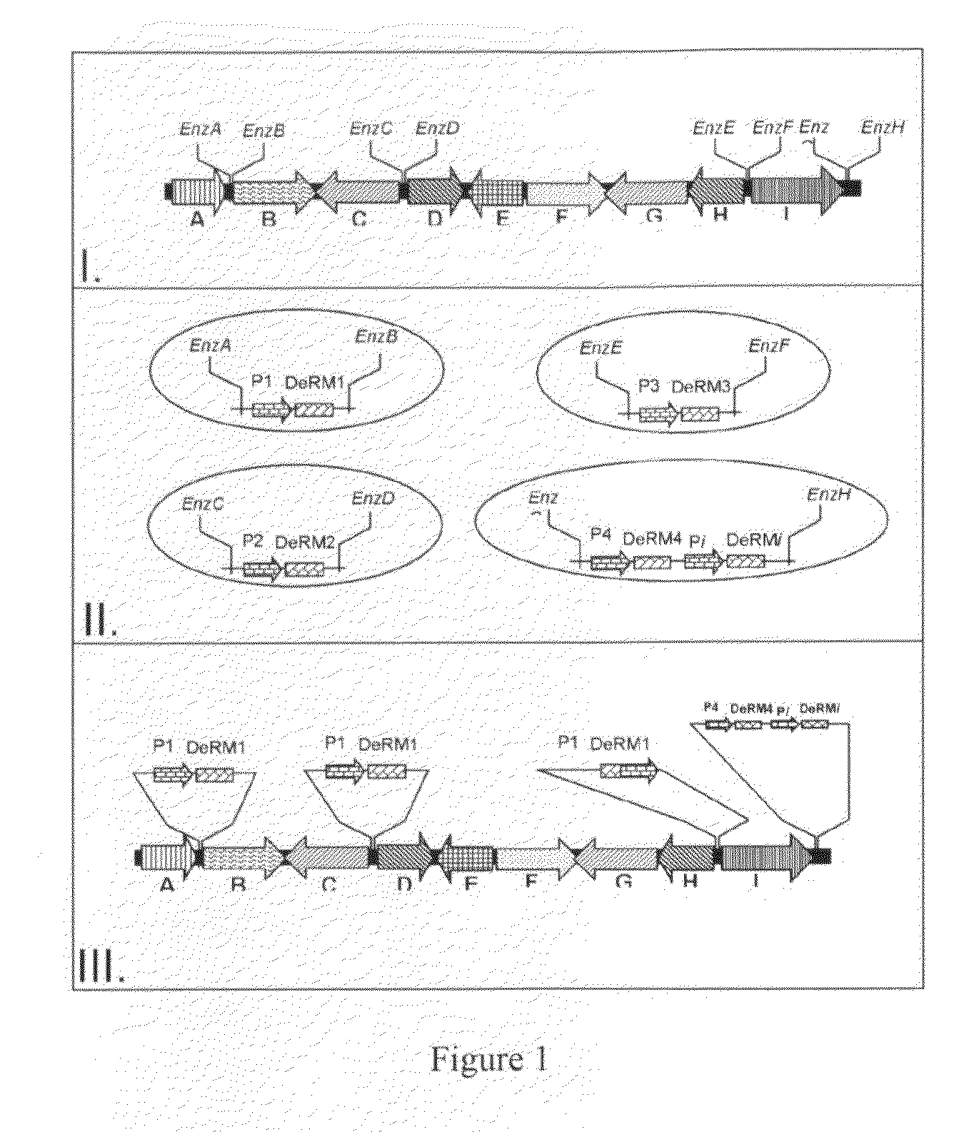 Microorganism Detection Method and Apparatus