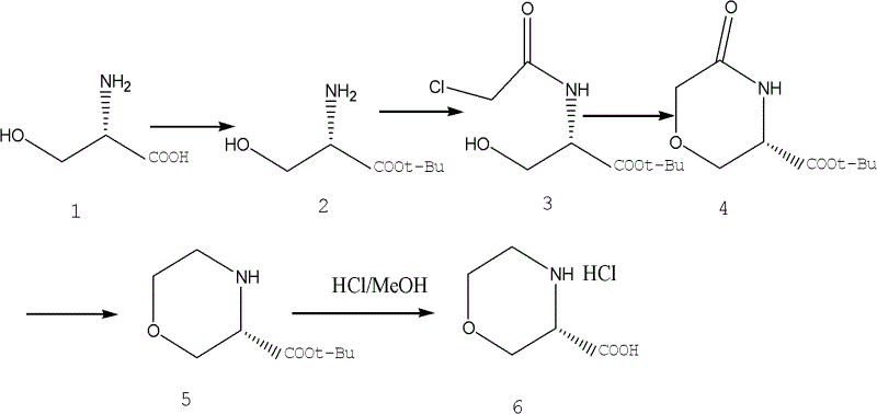 Novel synthetic method of (S)-3-morpholinyl carboxylic acid