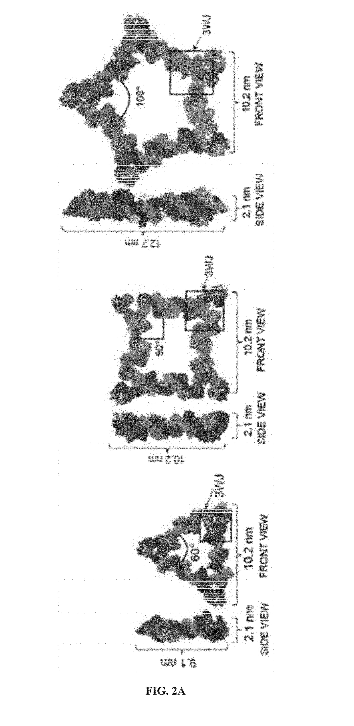 Rna-based compositions and adjuvants for prophylactic and therapeutic treatment