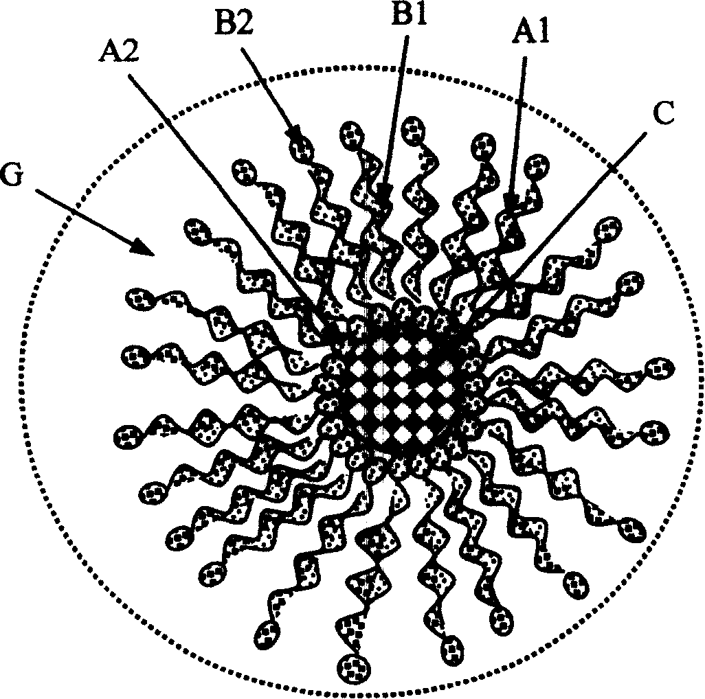 Hydrophobic nano particles and process for preparing dispersion liquid thereof