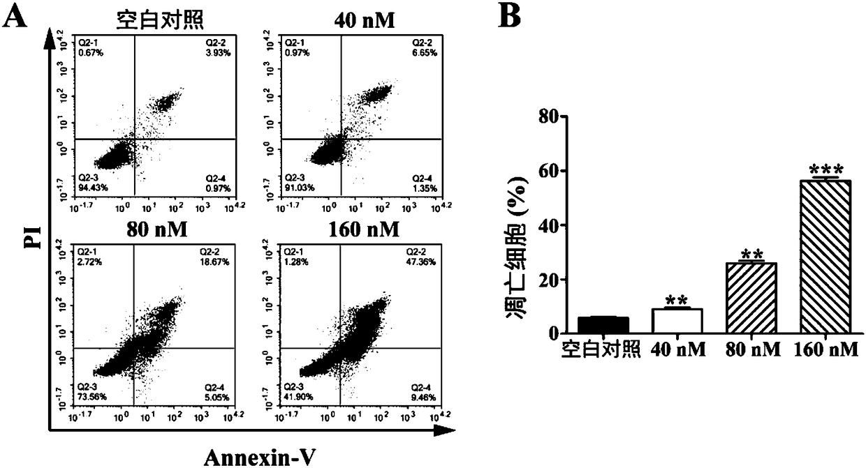 Microtubule inhibitor as well as preparation method and application thereof