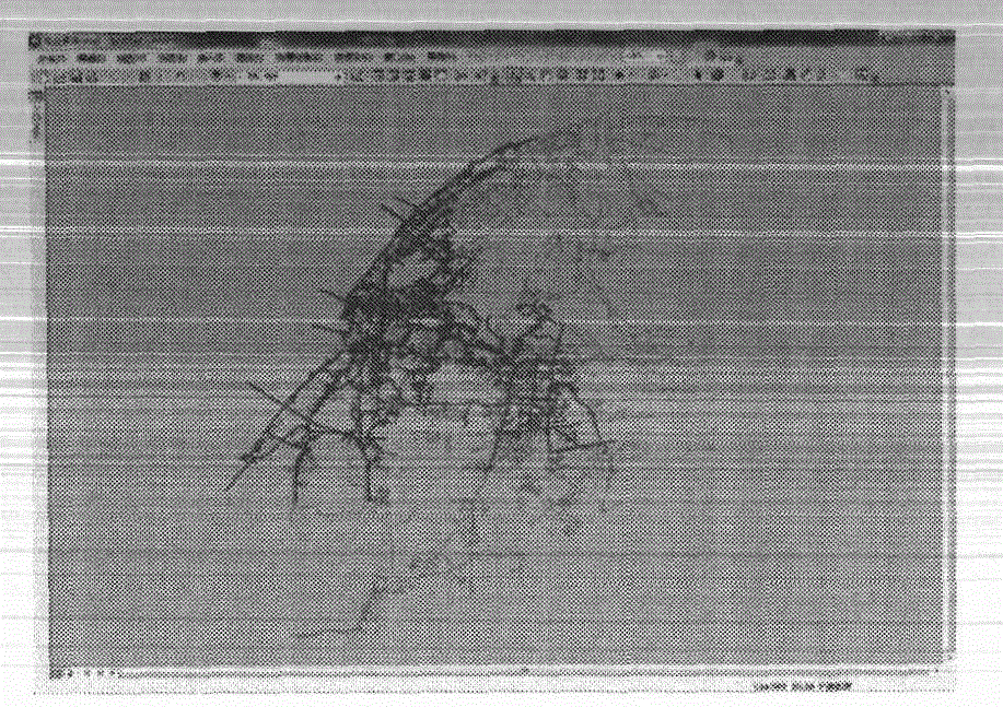 Clustering method for interest point tracks under multiple temporal and spatial characteristic fusion