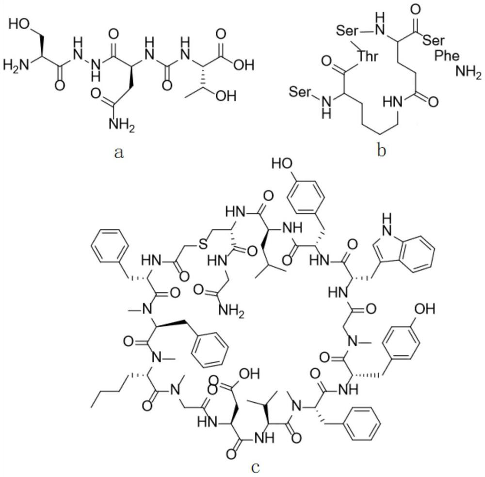 PD-L1 cyclopeptide inhibitor containing hydrazide structure