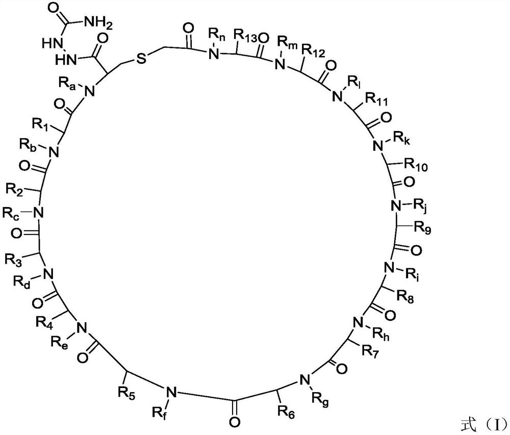 PD-L1 cyclopeptide inhibitor containing hydrazide structure