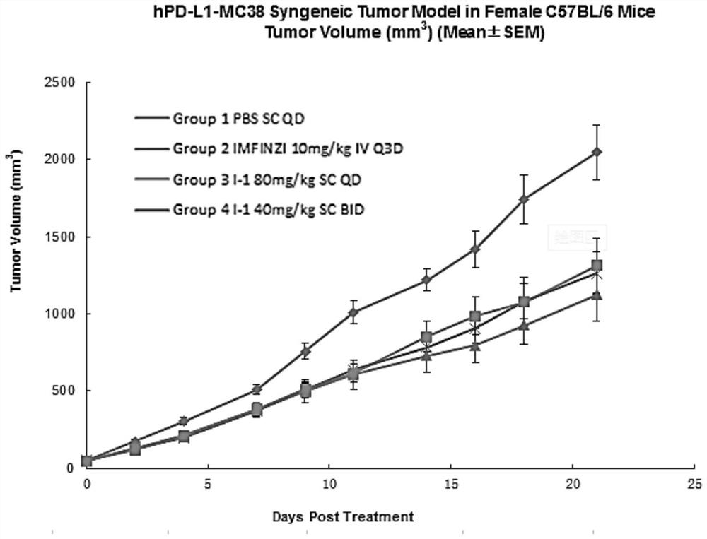 PD-L1 cyclopeptide inhibitor containing hydrazide structure