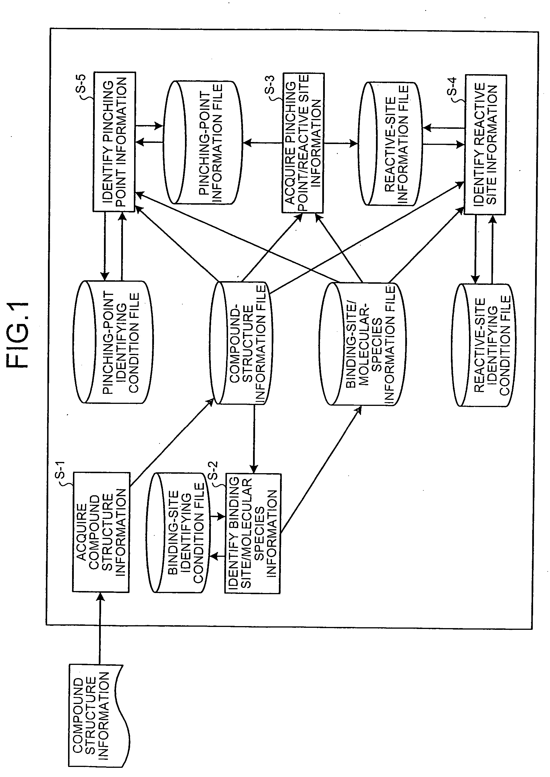 Drug-metabolizing enzyme prediction apparatus