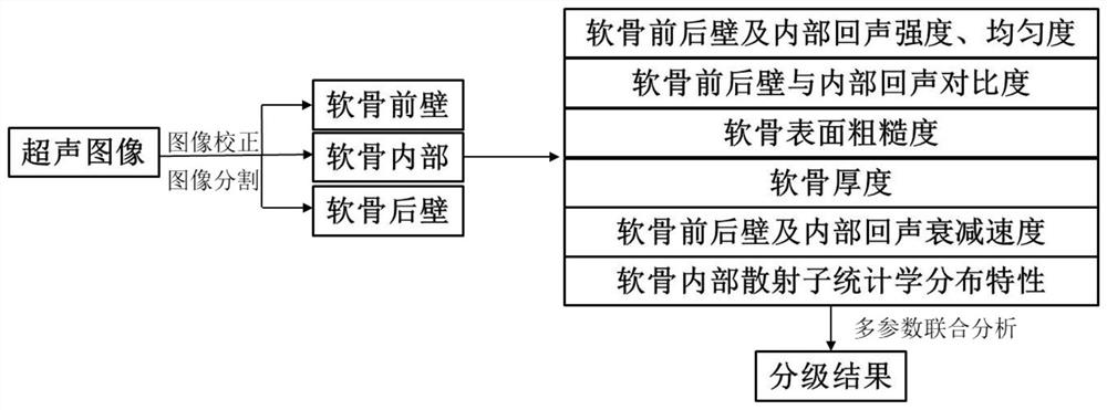 A Quantitative Evaluation System for Ultrasonic Images