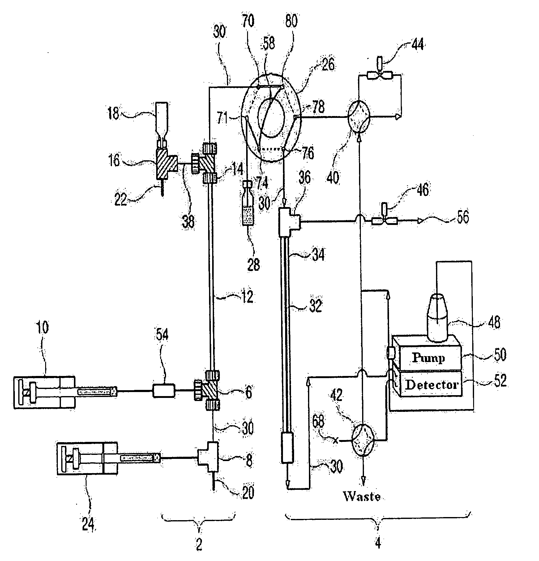 Apparatus for Protein Separation Using Capillary Isoelectric Focusing-Hollow Fiber Flow Field Flow Fractionation and Method Thereof
