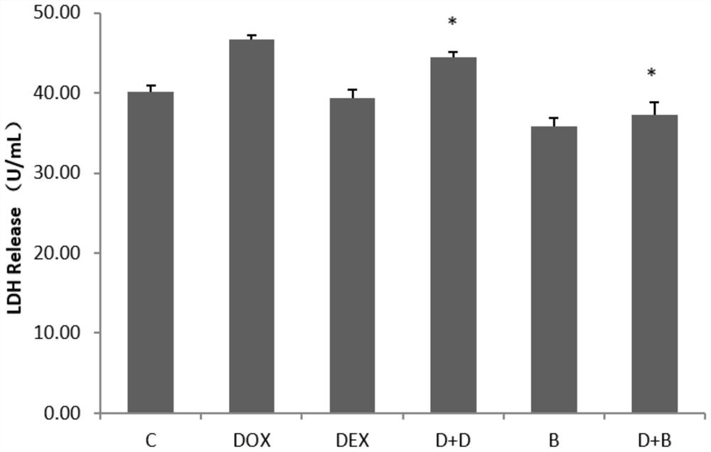 Application of breviscapine as chemotherapeutic drug cardiotoxicity prevention and treatment drug