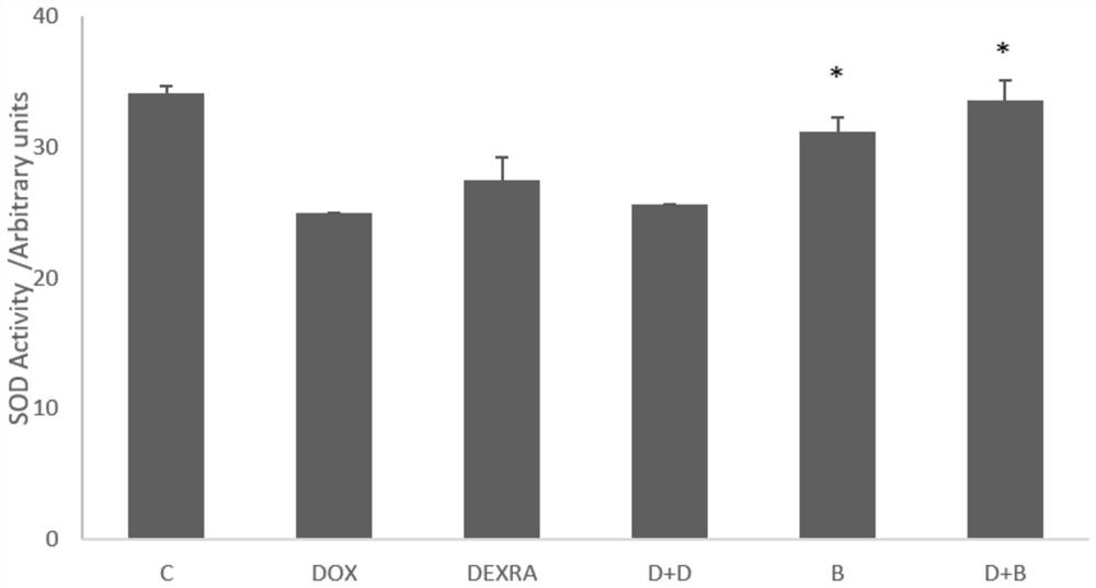 Application of breviscapine as chemotherapeutic drug cardiotoxicity prevention and treatment drug