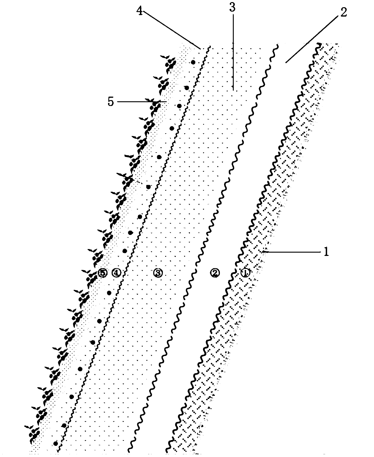 High-steep bare rock slope surface vegetation greening system and construction method thereof
