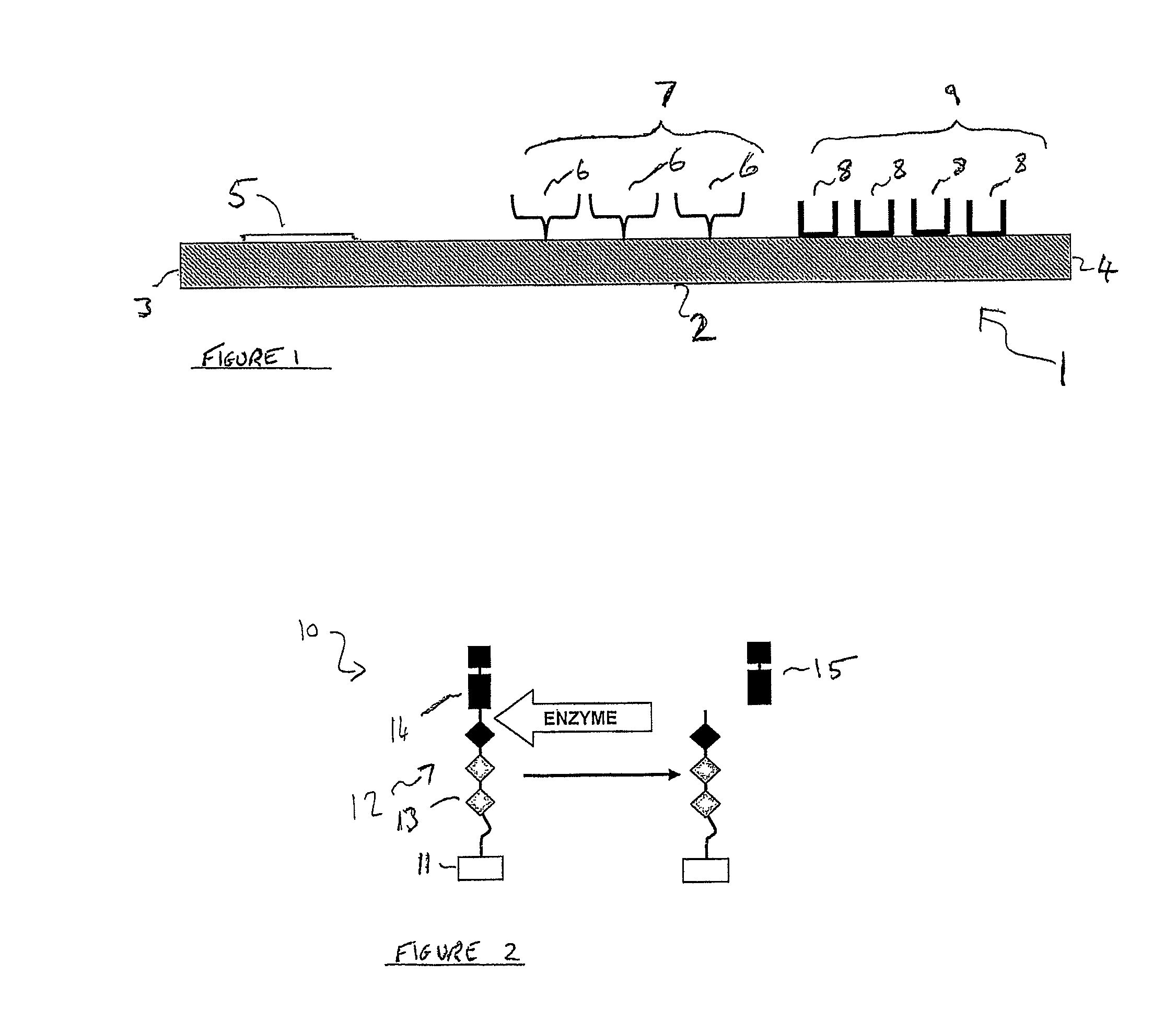 Enzyme detection device