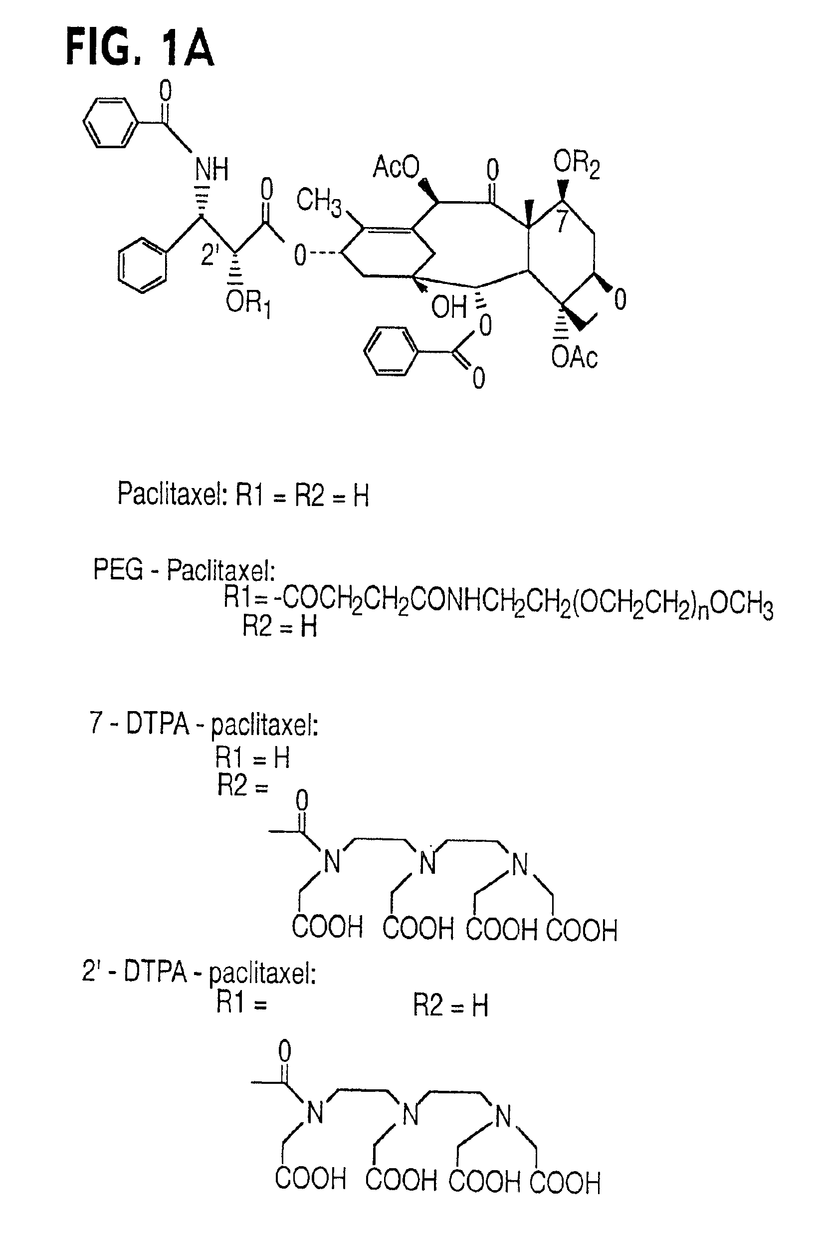 Water soluble paclitaxel derivatives