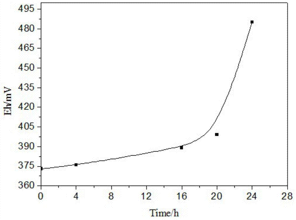 A fluorine-resistant ore leaching bacteria and its high-efficiency leaching process applied to high-fluoride uranium ore