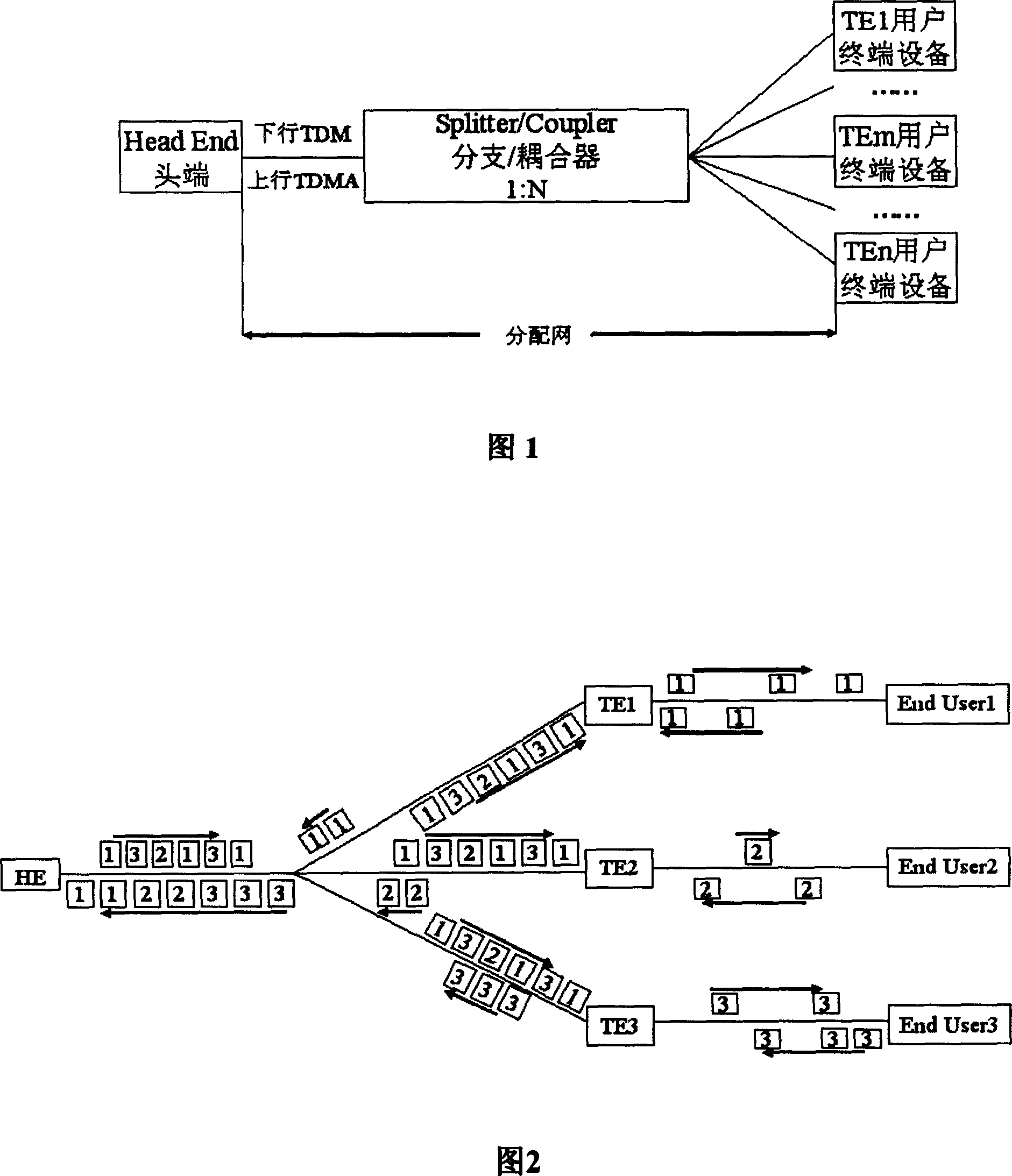 Point-to-multipoint access network and method to enhance security and branch/coupler