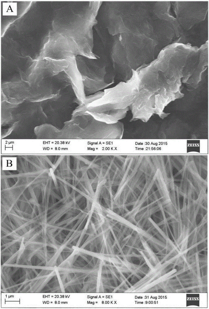 CoFe2O4NWs/RGO composite nano-material, and paracetamol electrochemical sensor obtained through composite nano-material