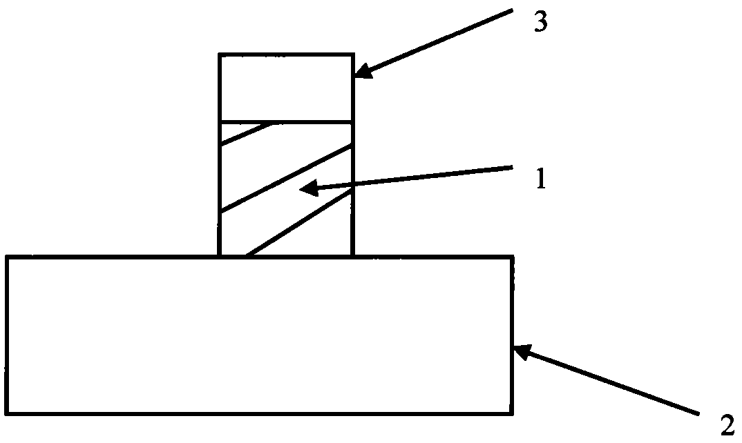 A method of cultivating bait for sea hare with blue spot by using magnetic stirrer