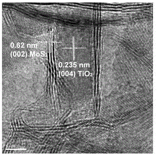 MoS2/TiO2 two-dimensional composite nanometer photocatalyst and preparation method and application thereof