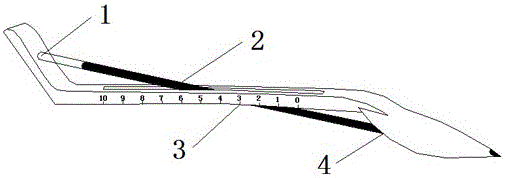 Measuring compass pen